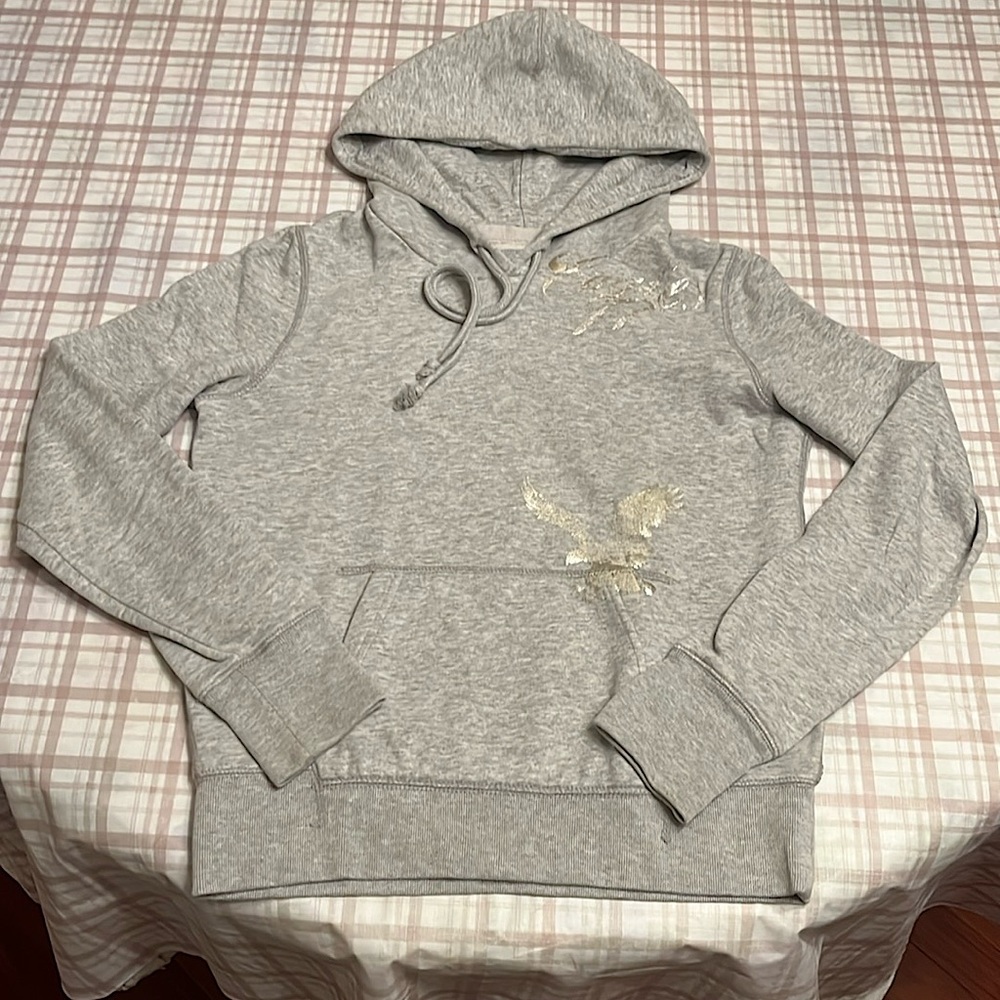 American Eagle Outfitters Light Gray Fleece Hoodie with Silver Graphics/Logo